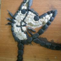 Mosaïque calade, école du Careï (Menton).