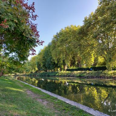 La Bourbince à Paray-le-Monial