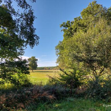 Les Étangs aux moines à Paray-le-Monial