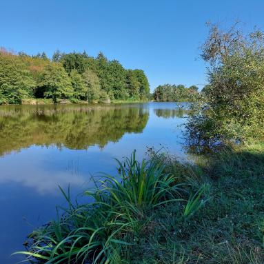 Les Étangs aux moines à Paray-le-Monial